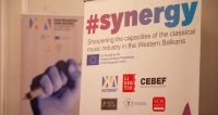 Project #synergy of KotorArt Don Branko´s Music Days supported by the EU!